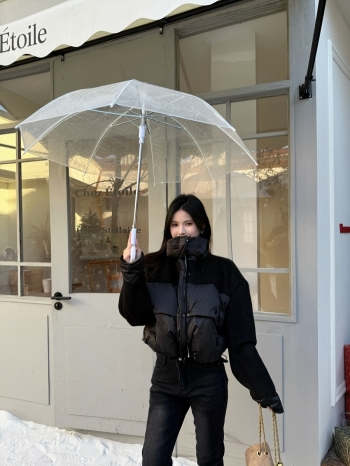 【Z830037】設計感拼接白鴨絨立領外套